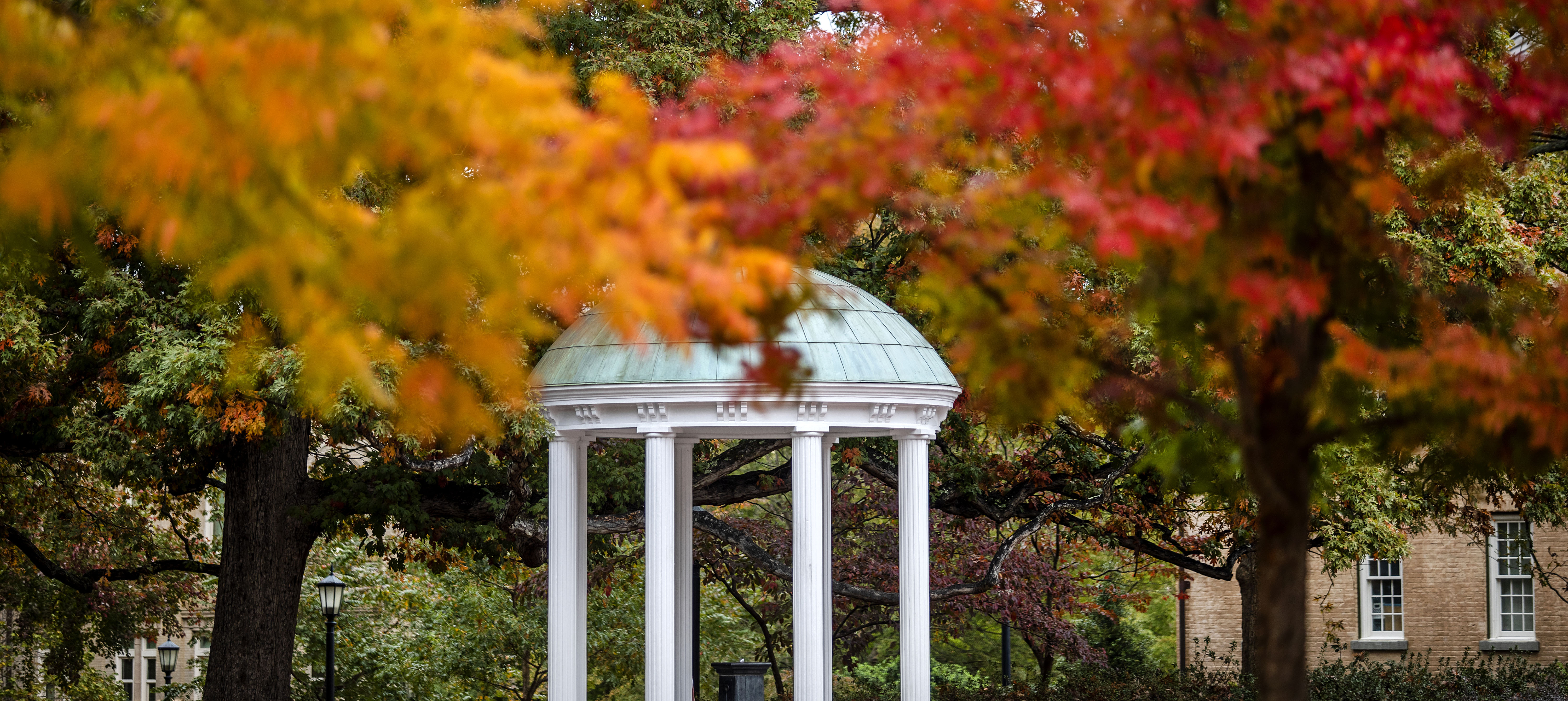 Fall foliage hang over the UNC Old Well.